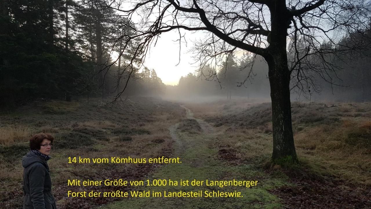 Ferienhaus Koemhuus 니불 외부 사진