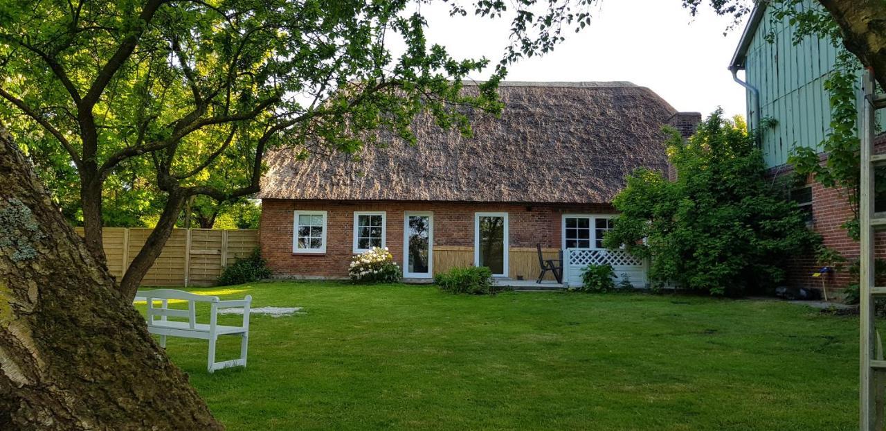 Ferienhaus Koemhuus 니불 외부 사진